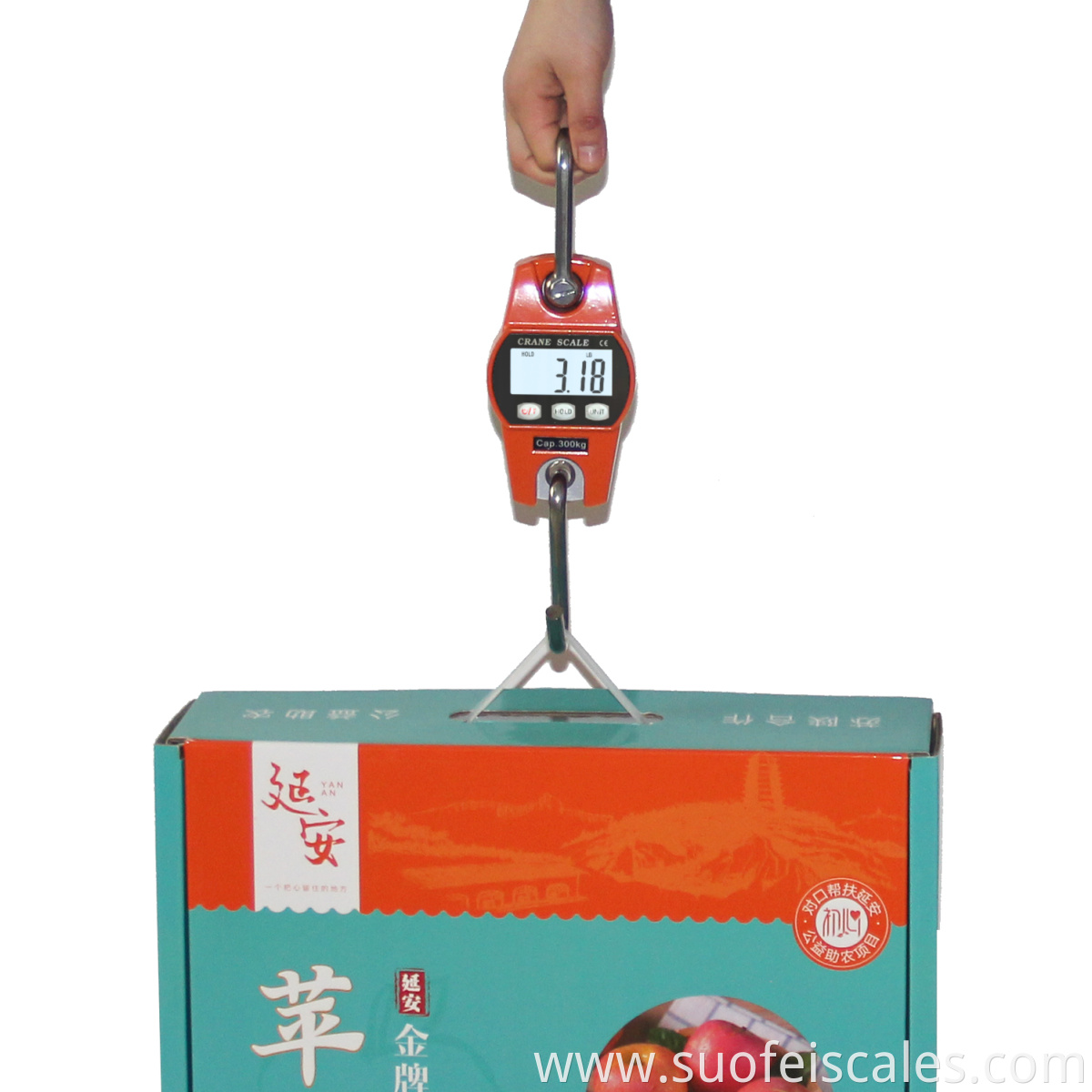 sf-916 OCS Mini Industrial Digital Crane Electronic Balance 300kg Hanging Scale Hook Crane Scale